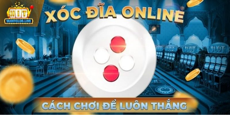 Các vòng cược hấp dẫn