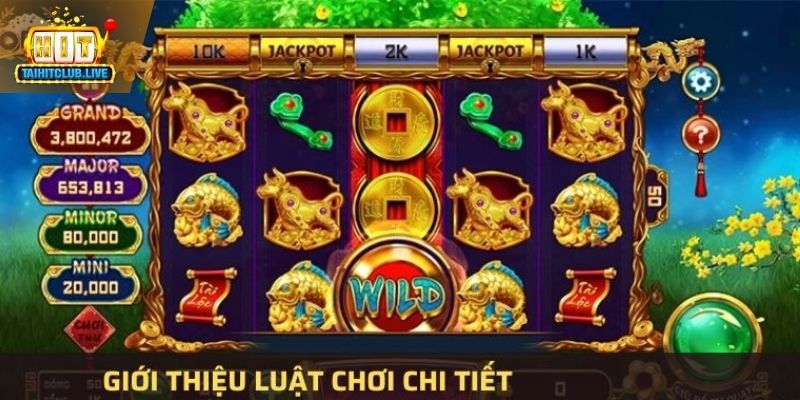 Luật chơi cơ bản tại Hit Club