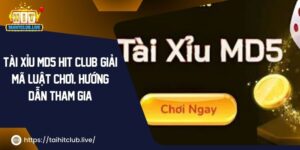 Tài Xỉu MD5 Hit Club: Giải Mã Luật Chơi, Hướng Dẫn Tham Gia